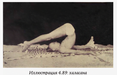halasana ayengar