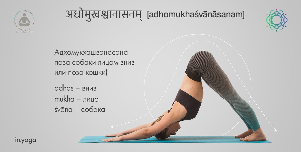 адхо_мукха_шванасана_сурья_намаскар
