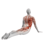 йогатерапия видео