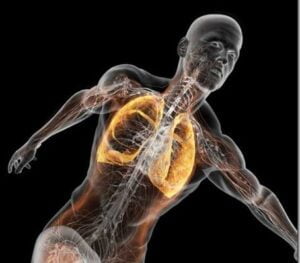 йогатерапия бхастрика