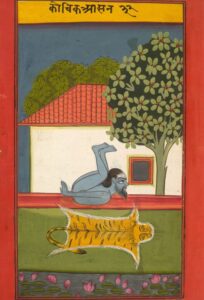 дханурасана dhanurasana