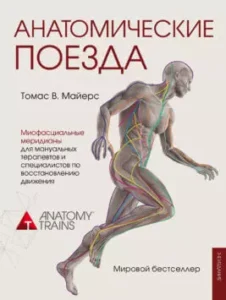 Анатомические поезда Томас Майерс