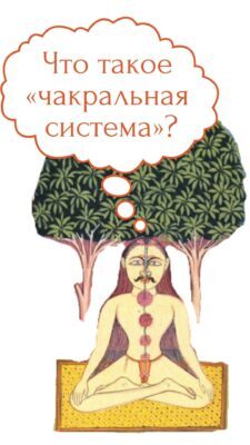 что такое чакральная система