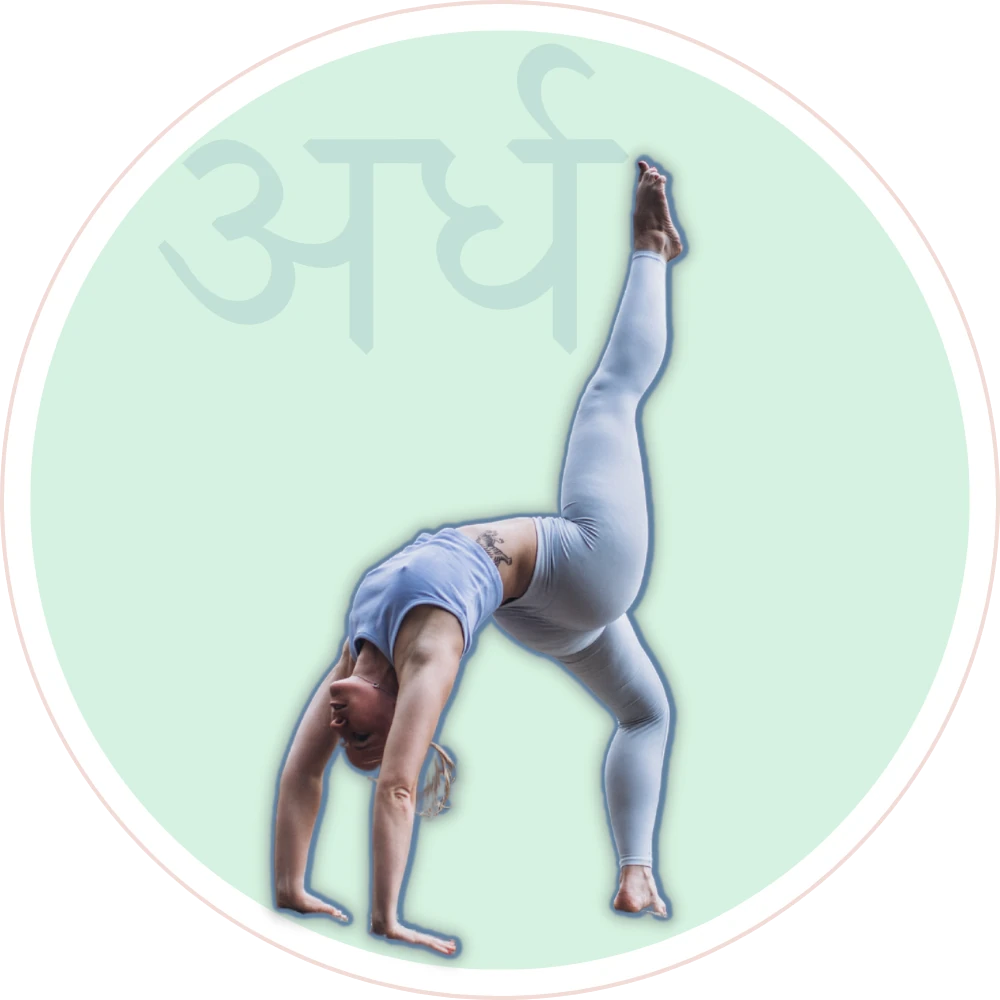 ардха-чакрасана, словарь асан, ardhachakrasana, asana vucabulary, словник асан