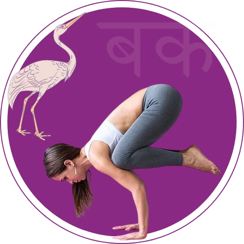 бакасана, словарь асан, bakasana, asana vucabulary, словник асан