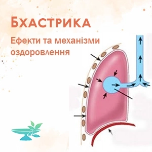 bhastrika-efekti-ta-mehanizmi-ozdorovlennya