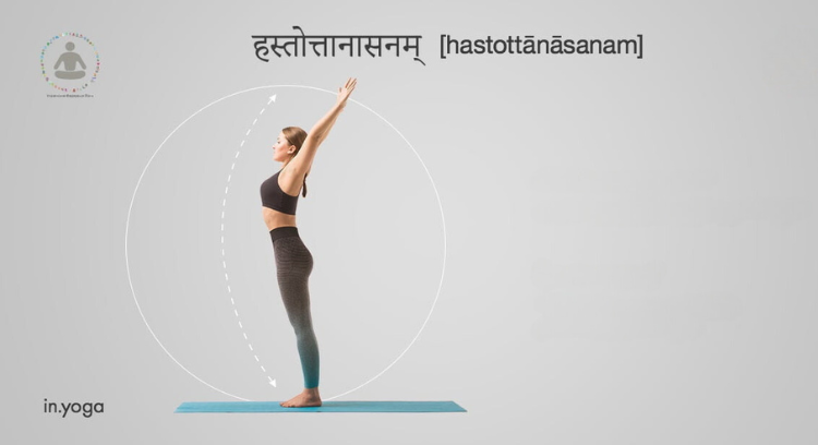 surya namaskar hastottanasana
