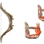 Дханурасана