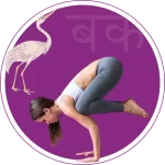 бакасана, словарь асан, bakasana, asana vucabulary, словник асан