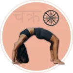 чакрасана, словарь асан йоги, chkrasana