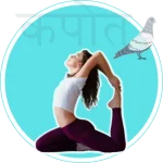 капотасана, словарь асан, kapotasana, asana vucabulary, словник асан