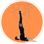 сарвангасана, словарь асан, sarvangasana, asana vucabulary, словник асан