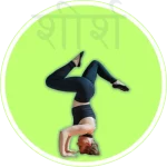 ширшасана, словарь асан, shirshasana, asana vucabulary, словник асан