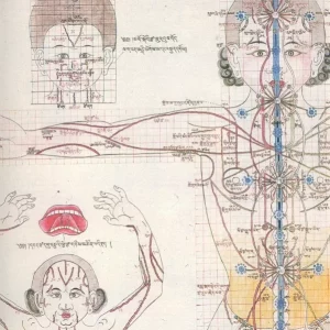 atlas tibetskoyi mediziny_chakry