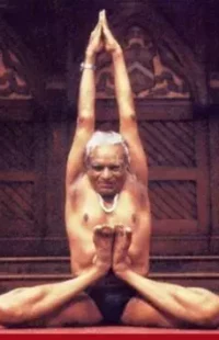 Свет йоги Б. К. С. Айенгар