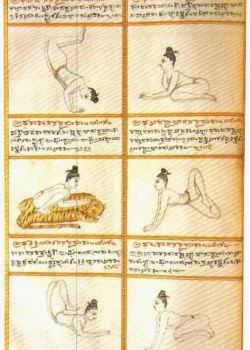 Shri-tattva-nidhi ajāsana
